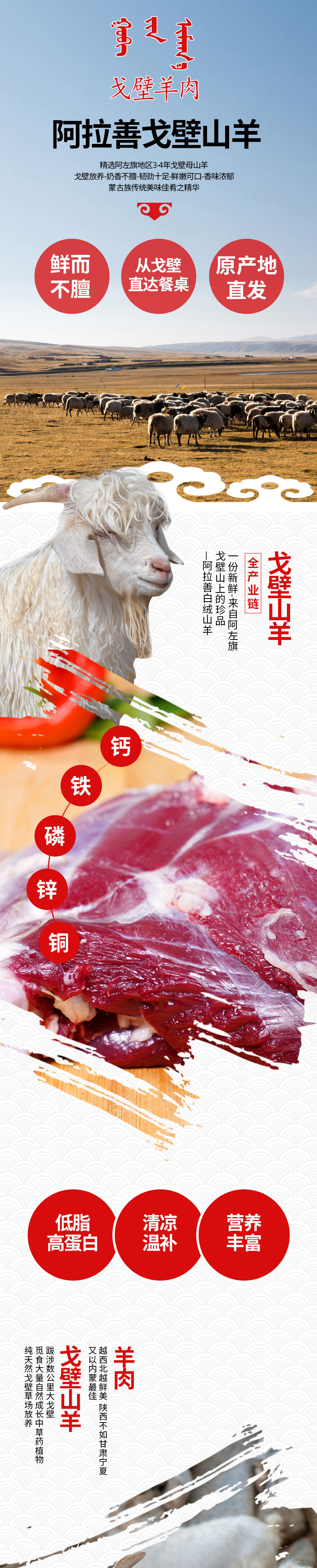 阿拉善戈壁滩山羊-1_01.jpg